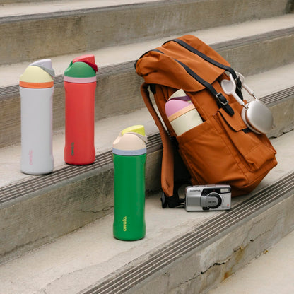 Owala FreeSip Insulated Stainless Steel Water Bottle with Straw for Sports and Travel, BPA-Free, 24oz, Foggy Tide